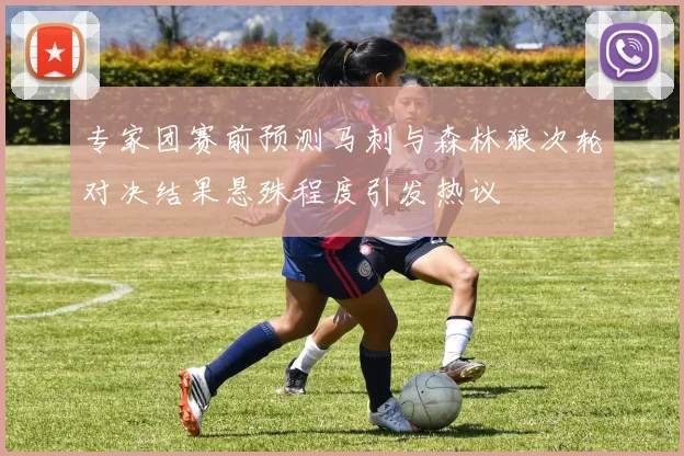 专家团赛前预测马刺与森林狼次轮对决结果悬殊程度引发热议