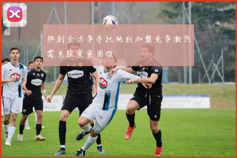 热刺全力争夺托纳利加盟竞争激烈需克服重重困难