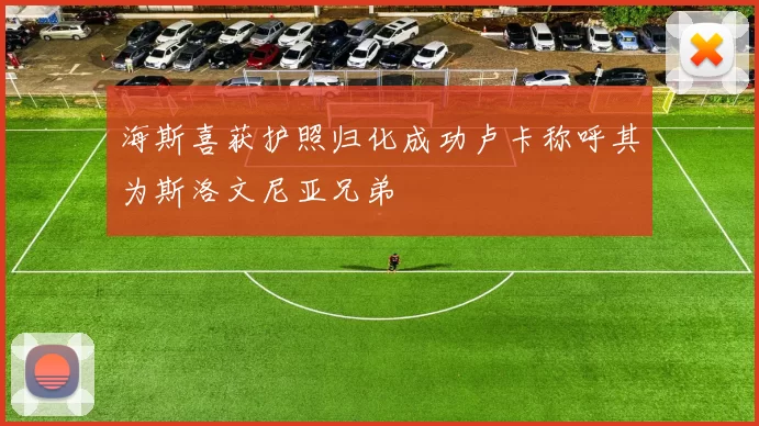 海斯喜获护照归化成功卢卡称呼其为斯洛文尼亚兄弟